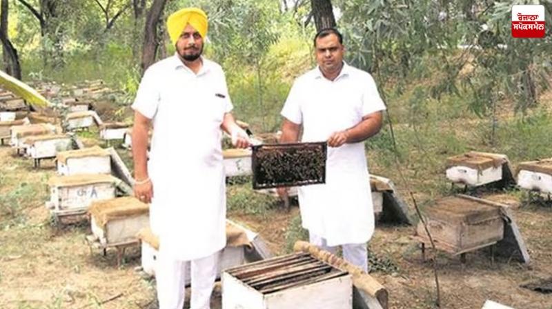 Beekeeping can change the fate of farmers Farming News Beekeeping can change the fate of farmers Farming News