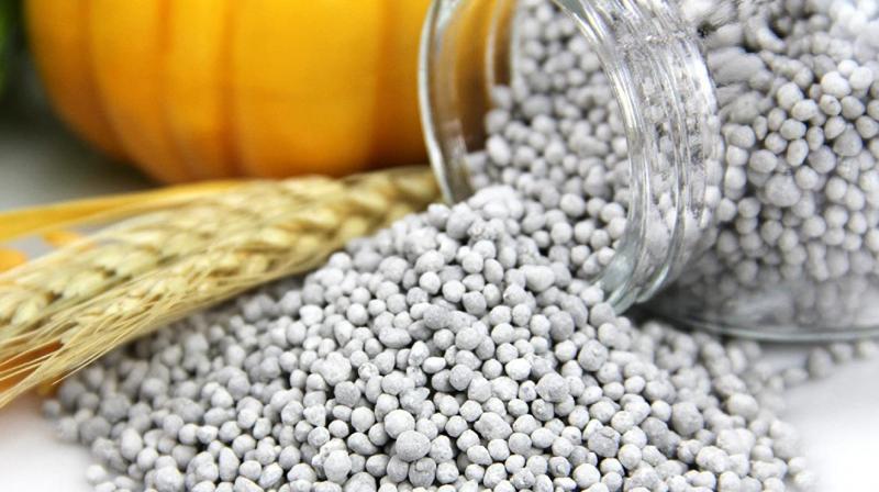 fertilizer fertilizer