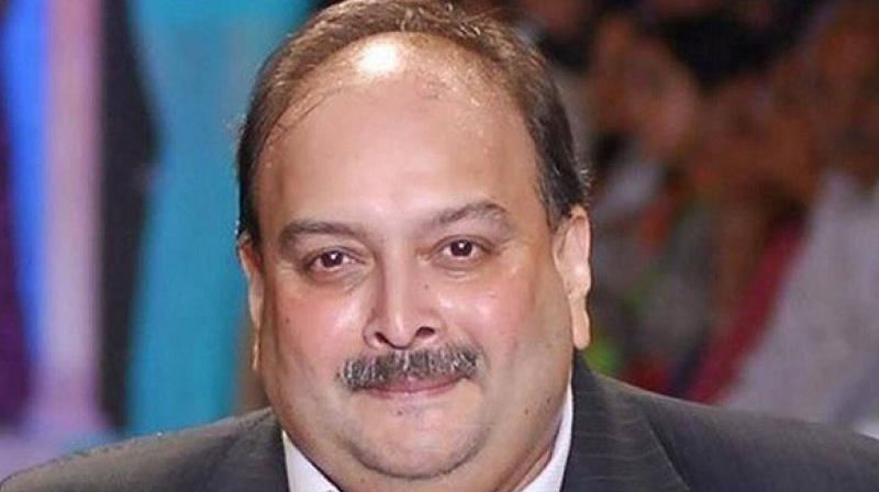 Mehul choksi