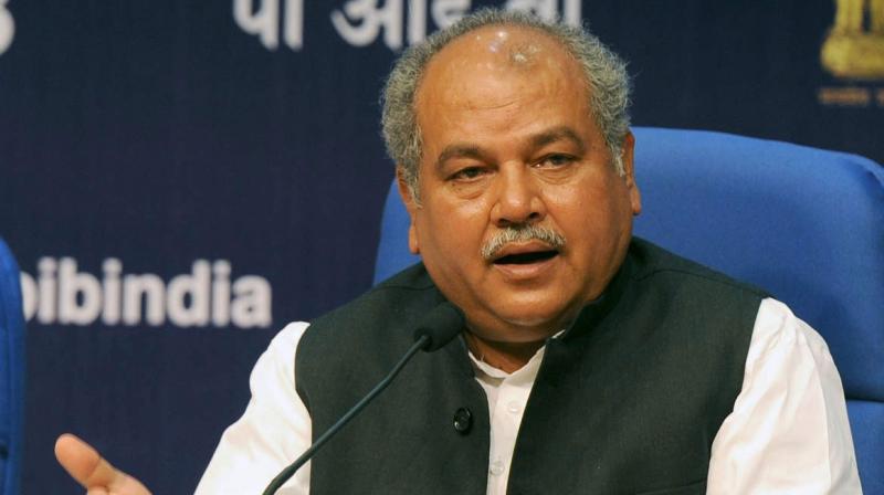 Agriculture Minister Narendra Singh Tomar