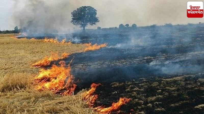 Punjab Stubble burning Cases News in punjabi Punjab Stubble burning Cases News in punjabi