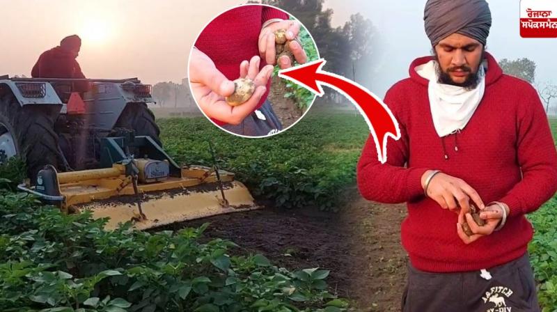 Farmer Farmer