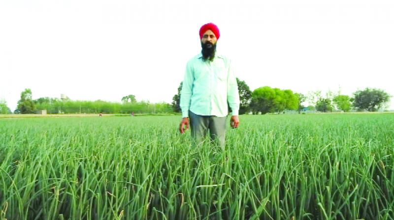 Sukhwinder Singh Sukhwinder Singh