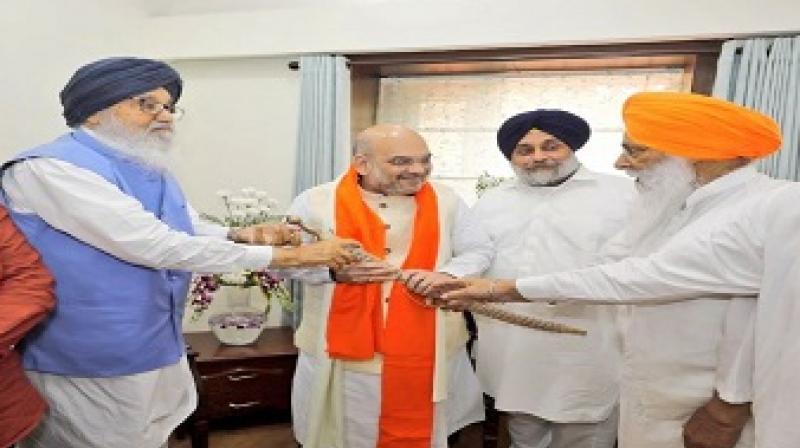 BJP President Amit Shah BJP President Amit Shah