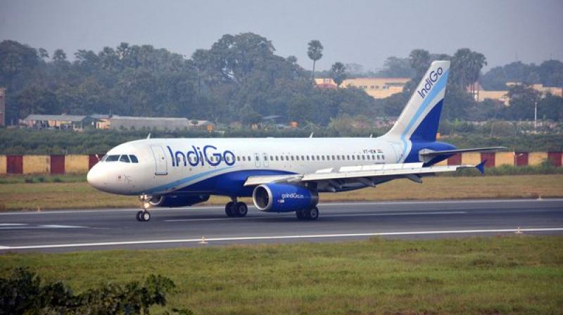 Indigo Airline