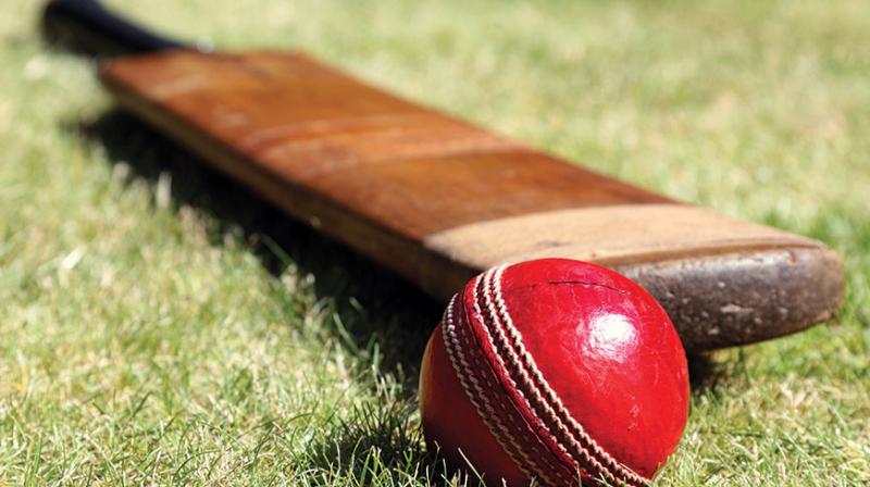 Cricket Cricket