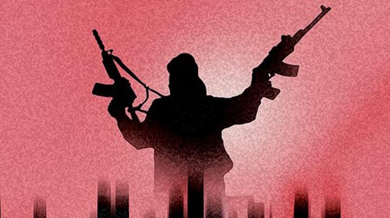 Terrorist Terrorist
