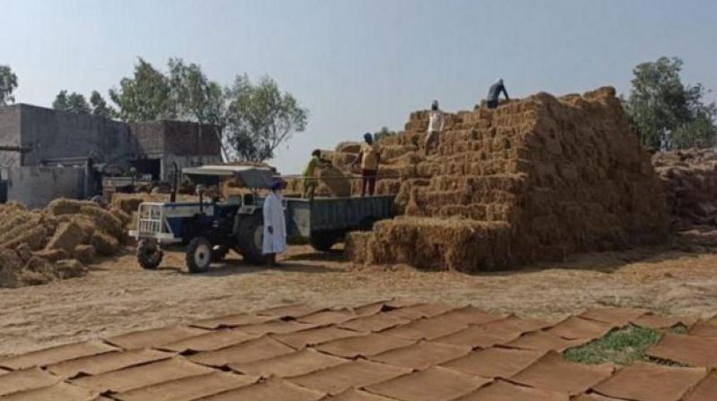 crore rupees were spent on stubble management Farming News in punjabi crore rupees were spent on stubble management Farming News in punjabi