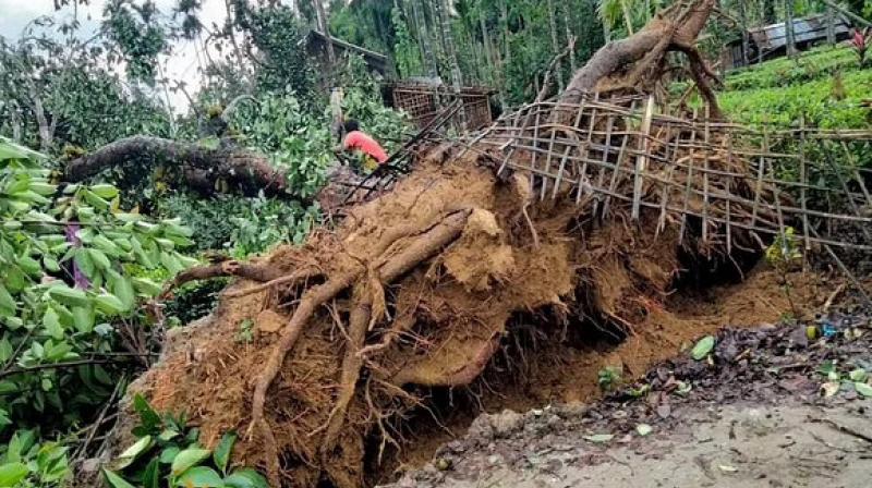 Assam Storm Assam Storm