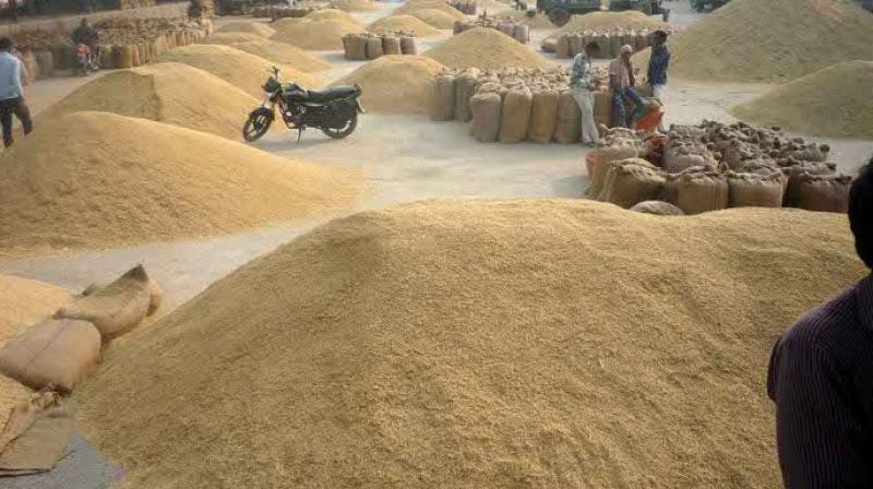 Grain market Grain market