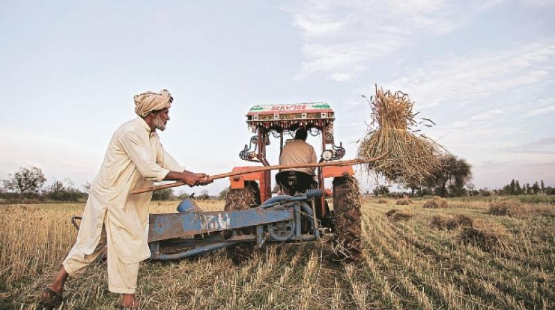 farmers farmers