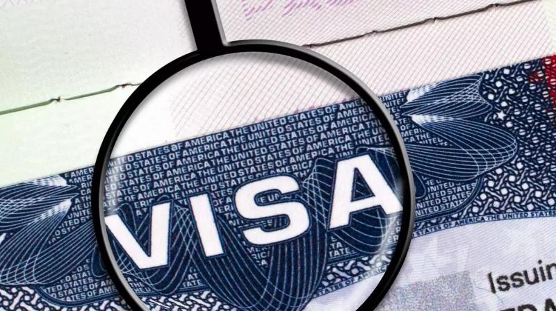 36% more visas processed across India after COVID-19 36% more visas processed across India after COVID-19