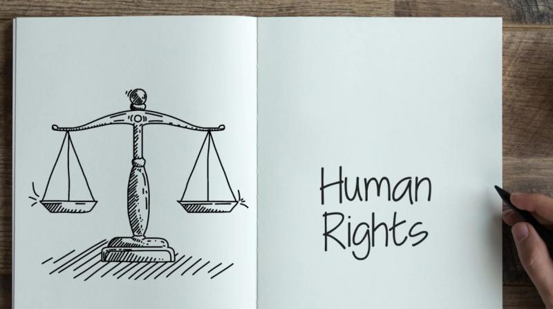 Haryana Police in violation of human rights, the report concluded - 45% of the cases against the police Haryana Police in violation of human rights, the report concluded - 45% of the cases against the police