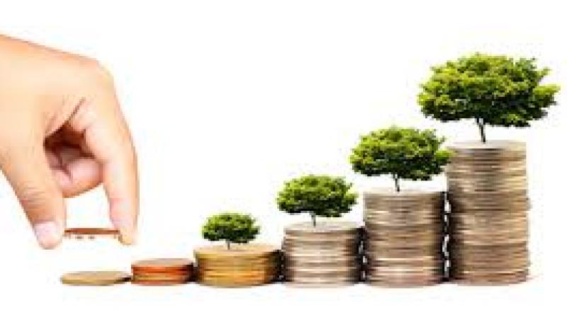 Capital investment Capital investment