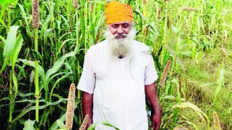 Farmer Gurmukh Singh Farmer Gurmukh Singh