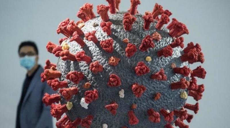 coronavirus coronavirus