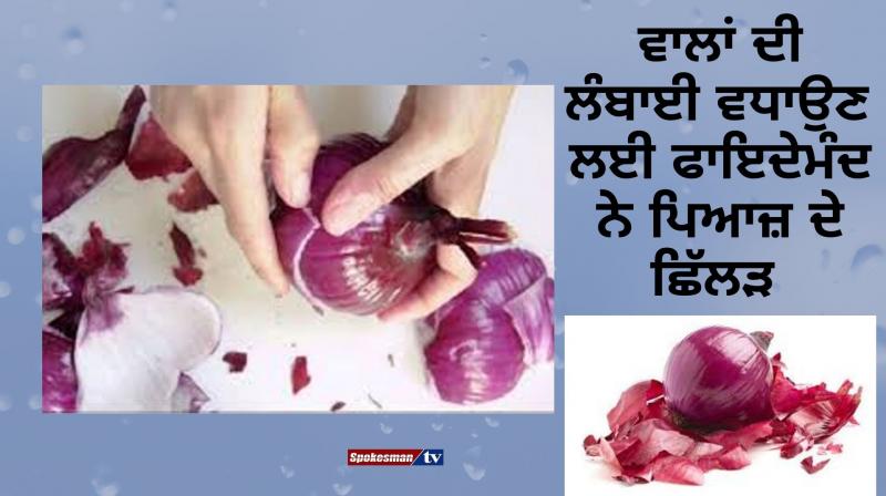 onion flask for hair growth onion flask for hair growth