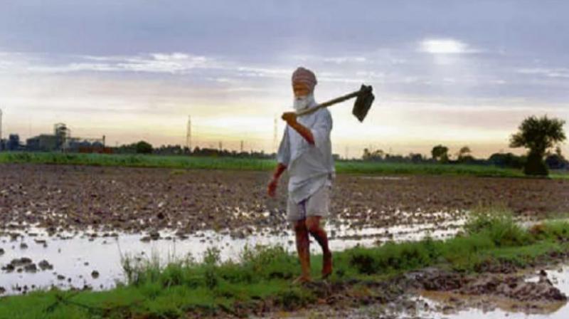 farmers farmers