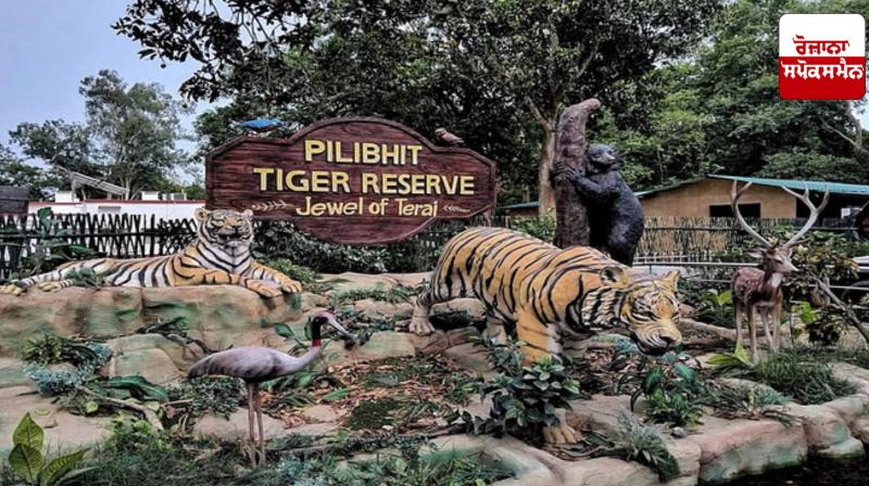 Bird Flu: Bird flu alert in Pilibhit Tiger Reserve, instructions to increase surveillance of wildlife Bird Flu: Bird flu alert in Pilibhit Tiger Reserve, instructions to increase surveillance of wildlife