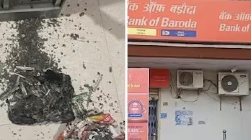 UP Woman's Rs 18 Lakh Kept In Bank Locker Lost To Termites UP Woman's Rs 18 Lakh Kept In Bank Locker Lost To Termites