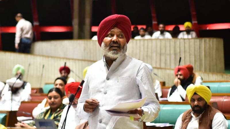 Harpal Cheema Harpal Cheema