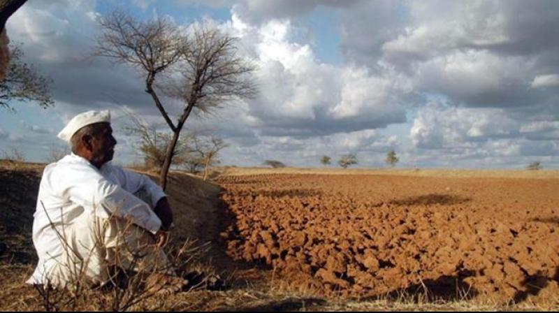 Maharashtra Farmer