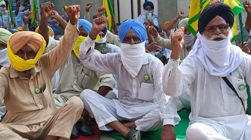 Farmer protest in Punjab against Agriculture Ordinance Farmer protest in Punjab against Agriculture Ordinance