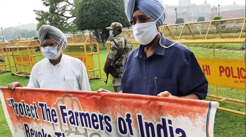 Partap Bajwa and Shamsher Dullo hold a protest against anti-farmer ordinances Partap Bajwa and Shamsher Dullo hold a protest against anti-farmer ordinances