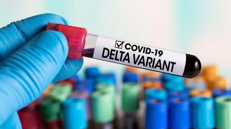 Delta variant Delta variant