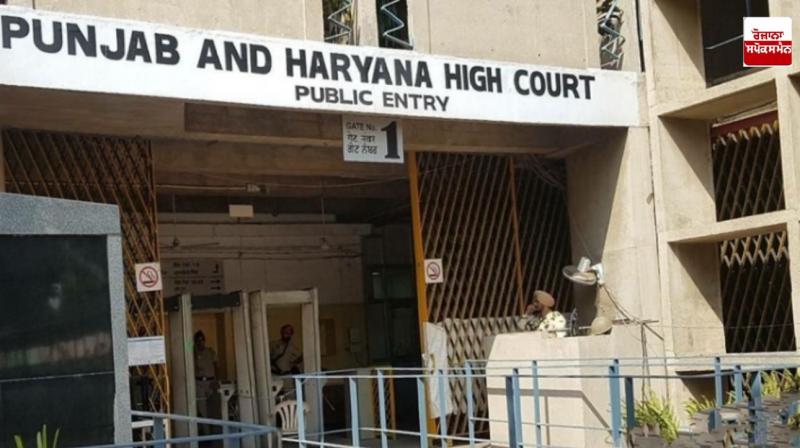Punjab and haryana High Court Punjab and haryana High Court