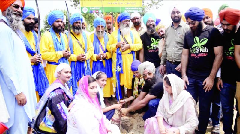 Planting Plants by member of EcoSikh Institution Planting Plants by member of EcoSikh Institution