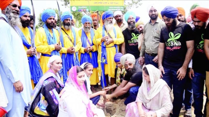 Planting Plants by member of EcoSikh Institution