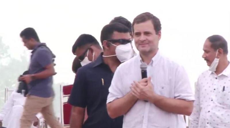 Rahul Gandhi Rahul Gandhi