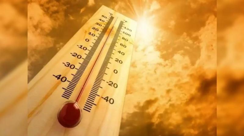 Boy dead due to punjab hot weather news in punjabi Boy dead due to punjab hot weather news in punjabi