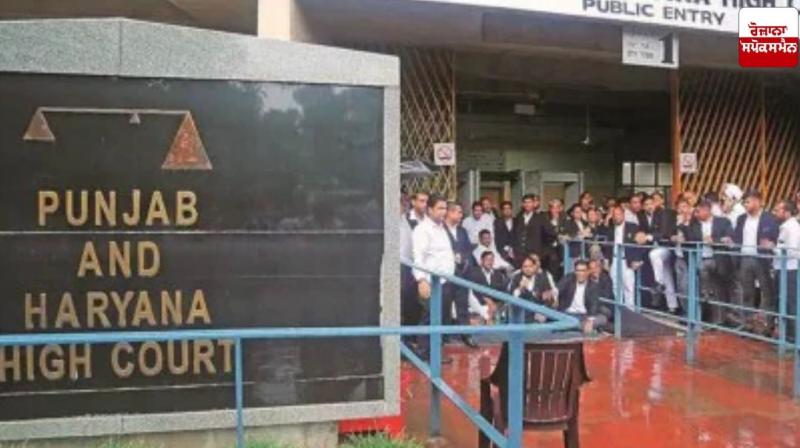Punjab-Haryana High Court upholds decision to acquit rape accused Punjab-Haryana High Court upholds decision to acquit rape accused
