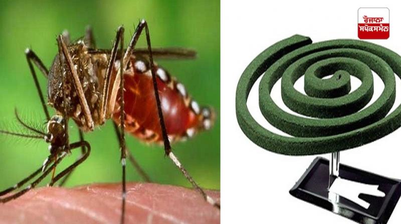 If you are using Kundli to repel mosquitoes, be careful? If you are using Kundli to repel mosquitoes, be careful?