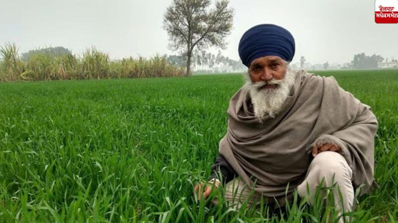 What reforms are needed in Punjab's agriculture