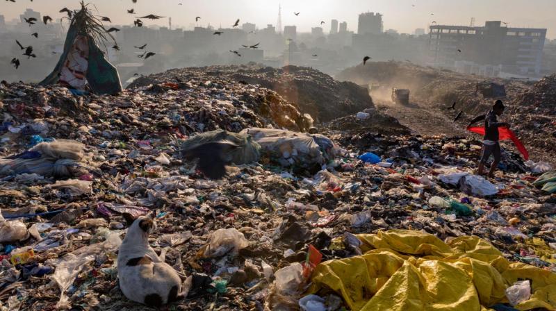 Plastic Plastic