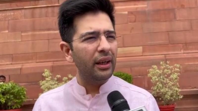 MP Raghav Chadha MP Raghav Chadha