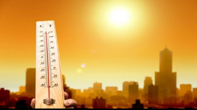 Punjab Weather Update news in punjabi 