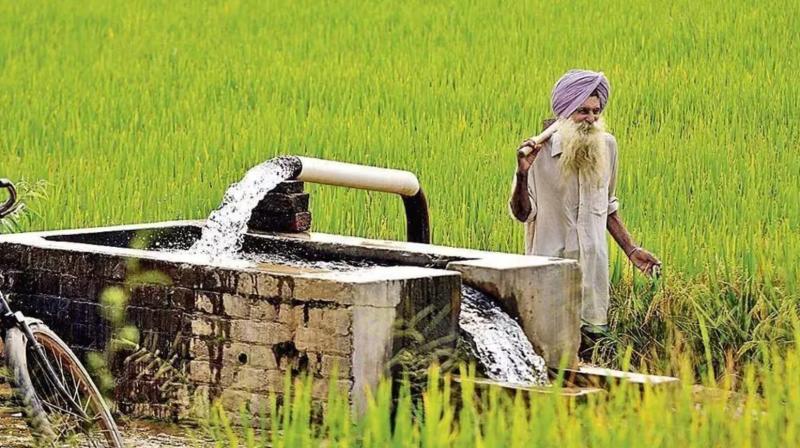 Govt to provide tube well connection for small farmers Farming News: Govt to provide tube well connection for small farmers Farming News: