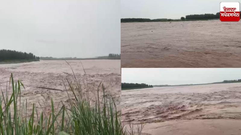 Ravi river Gurdaspur News Ravi river Gurdaspur News