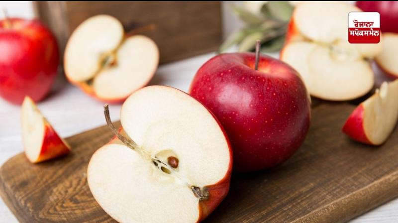 Apple Apple