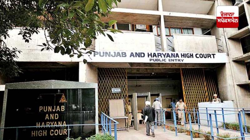 High Court disposes of PIL against use of Chinese string for kite flying