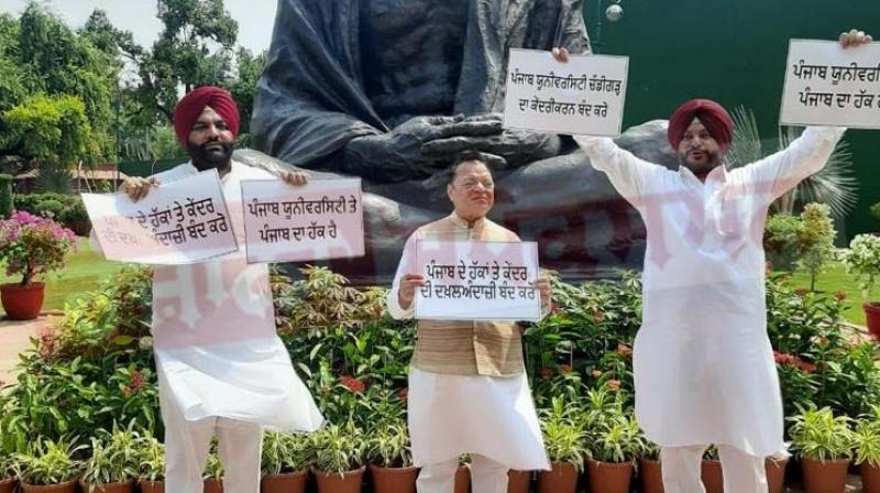 Congress MPs Protest against centralization of Punjab University Congress MPs Protest against centralization of Punjab University