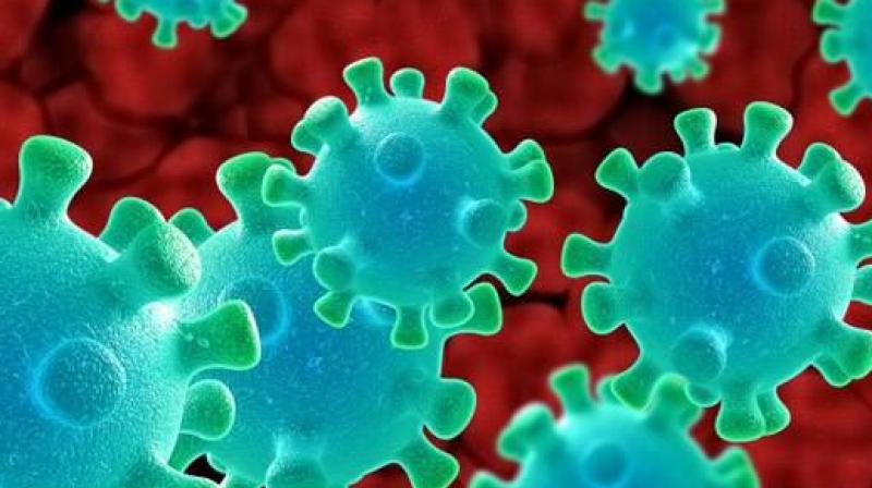 Coronavirus outbreak spitting in public is a health hazard say experts