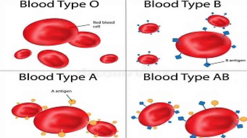 blood group blood group