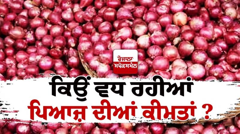 Onion Price Hike News Onion Price Hike News