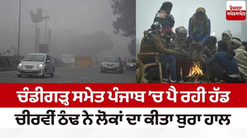 Chandigarh punjab Weather Update Chandigarh punjab Weather Update