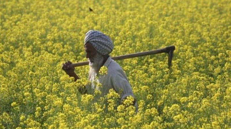 Online portal to join PM Farmer Scheme Online portal to join PM Farmer Scheme